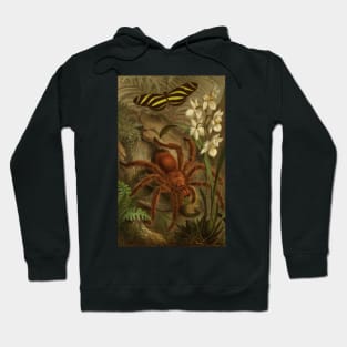 Vintage Tarantula Hoodie